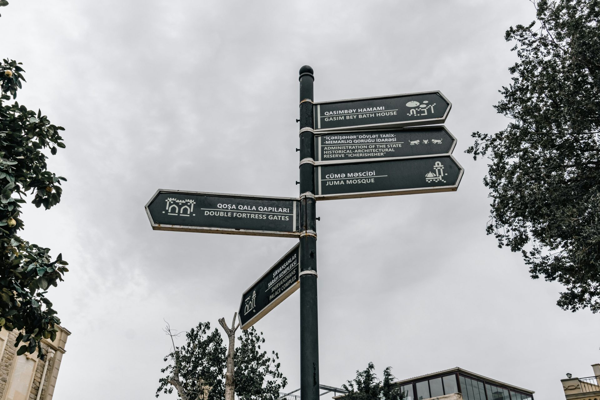 Directional signs on a pole with trees